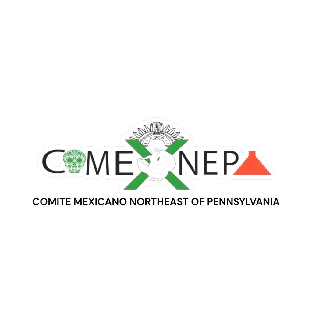Logo de COMEX NEPA